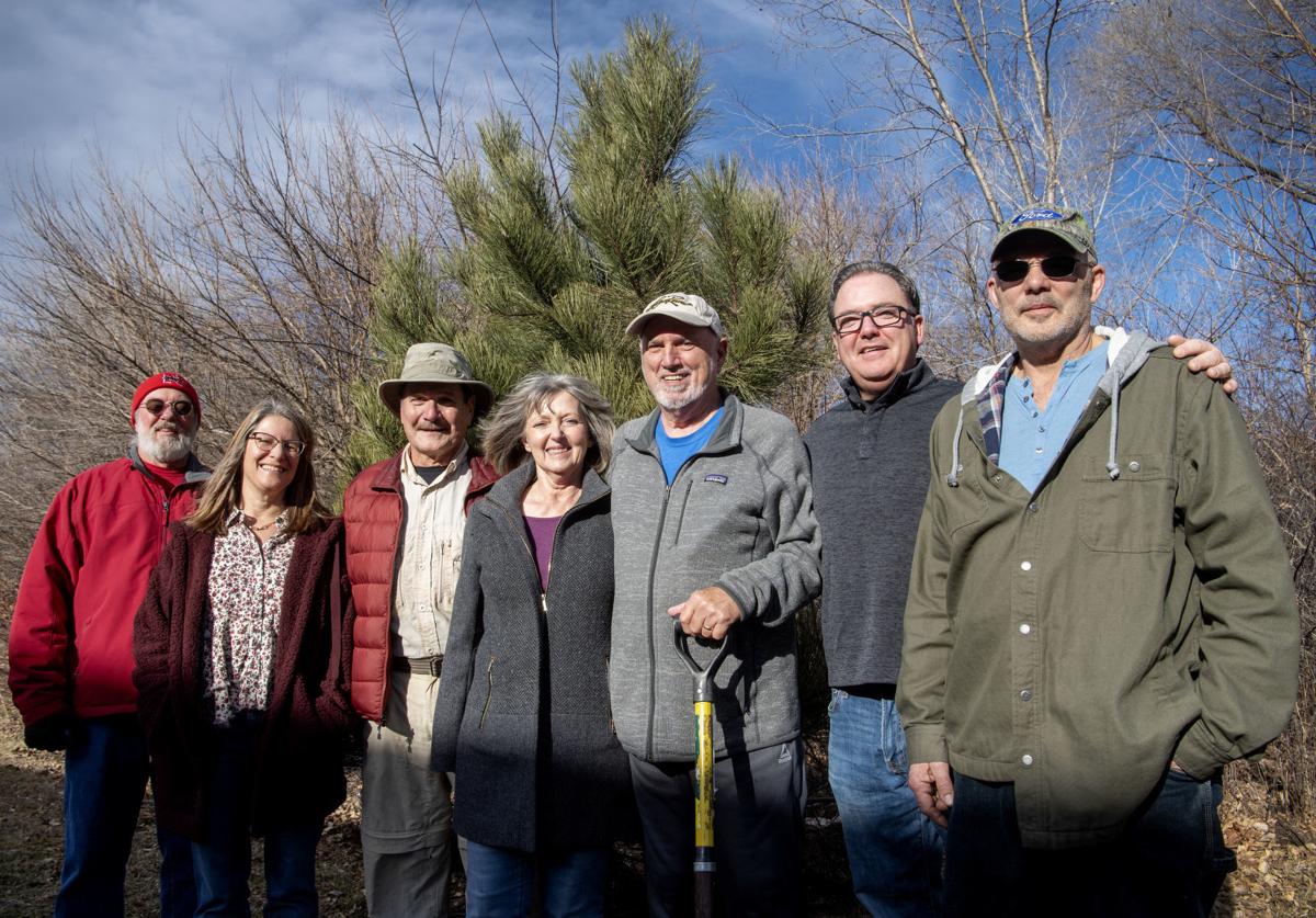 Vintage Heights Tree Planters, 1.1