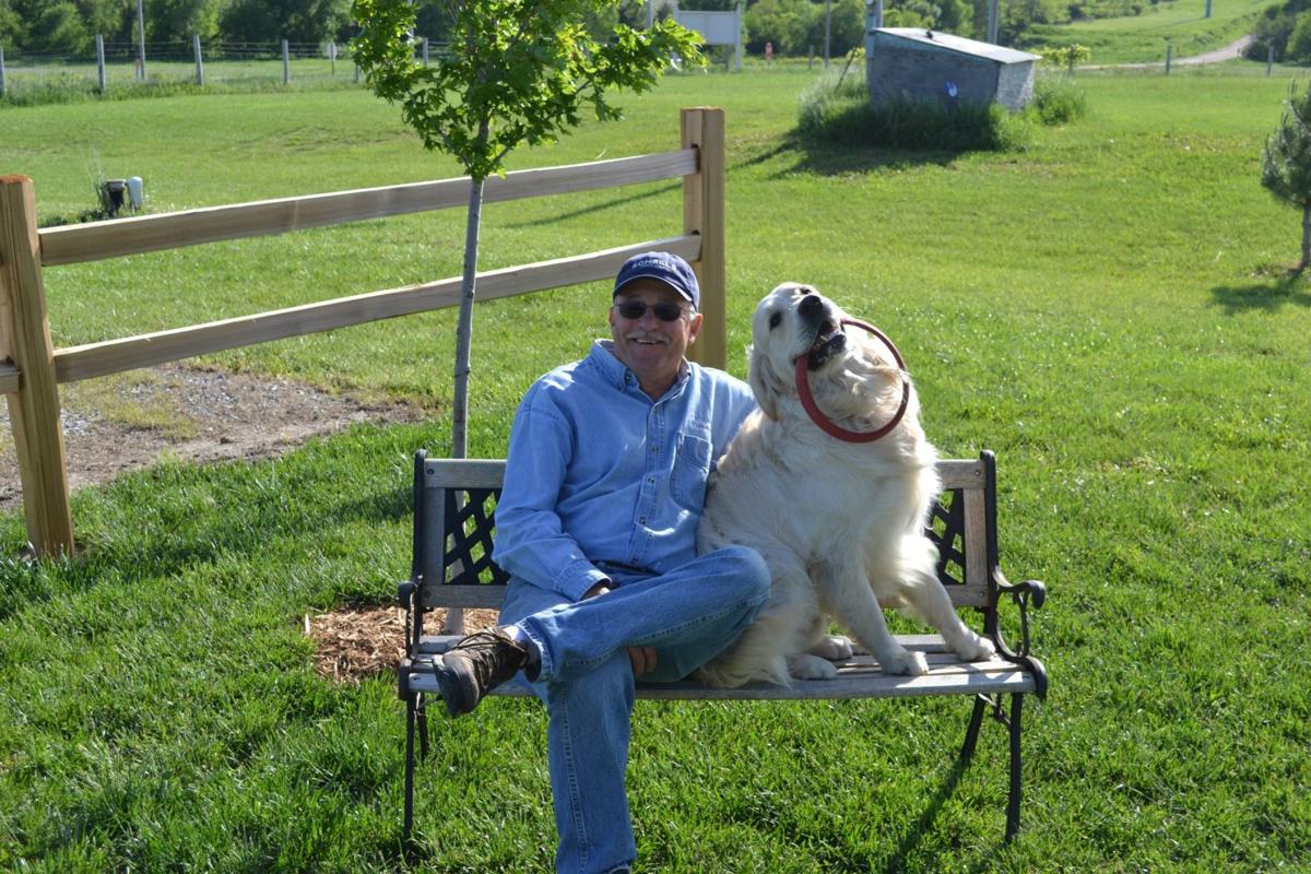 Driftwood Boarding & Wellness, also known as Driftwood Kennels