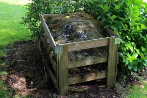 Sarah Browning: Common composting questions