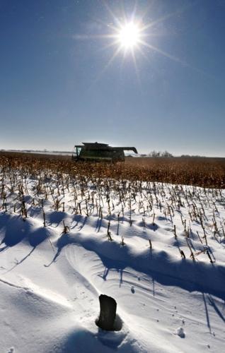 Snow harvest