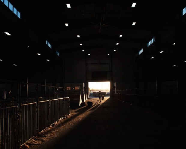 Nebraska State Fair