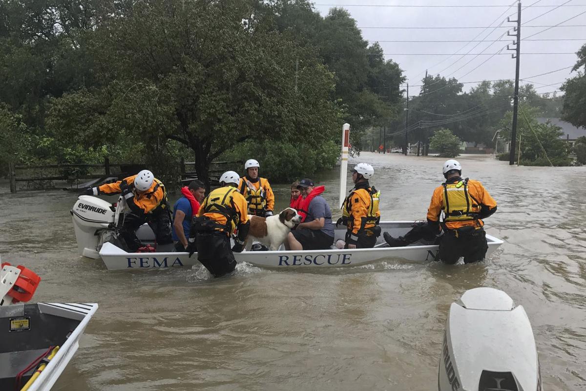 houston adoption nebraska task helps rescue 350 in houston fema asks lfr to explore sending more houston adoption nebraska task helps rescue 350 in houston fema asks lfr to explore sending more