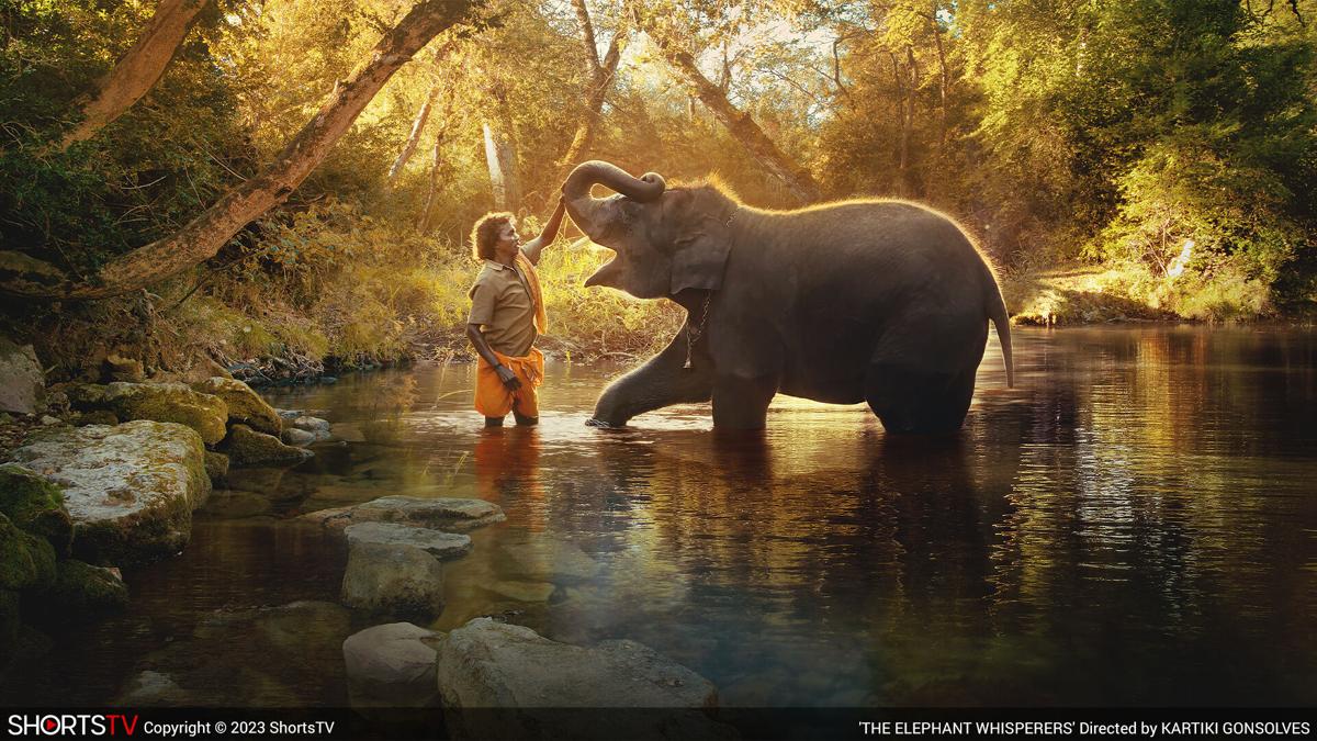The Elephant Whisperers