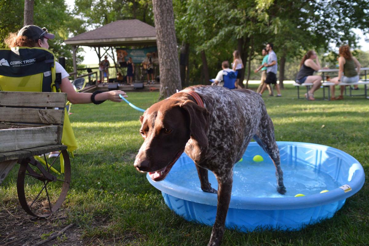 Asher emerges from dog pool