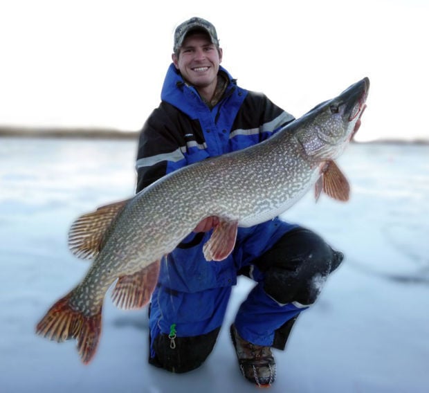 Anglers bring in massive northern pike with ice-fishing buzzer-beater at  Elkhead Reservoir