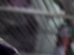 Eggs Pulled From Walgreen S In Nebraska Other States Local Business News Journalstar Com