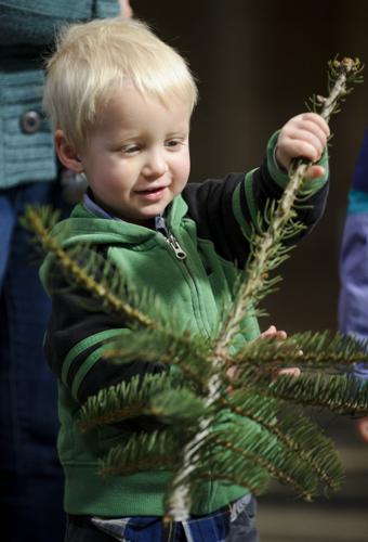 Capitol Christmas Tree