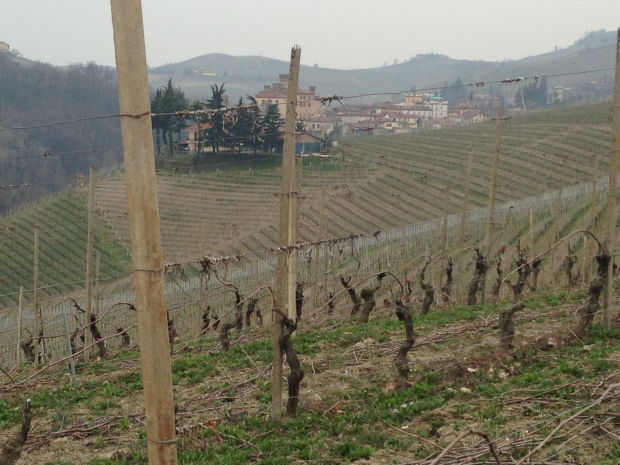 Barolo Castle