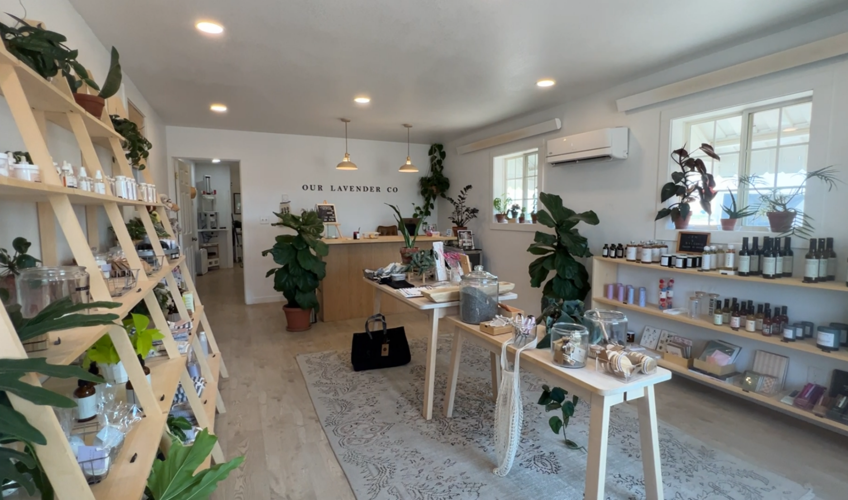 Our Lavender Co. is a bonus passport stop