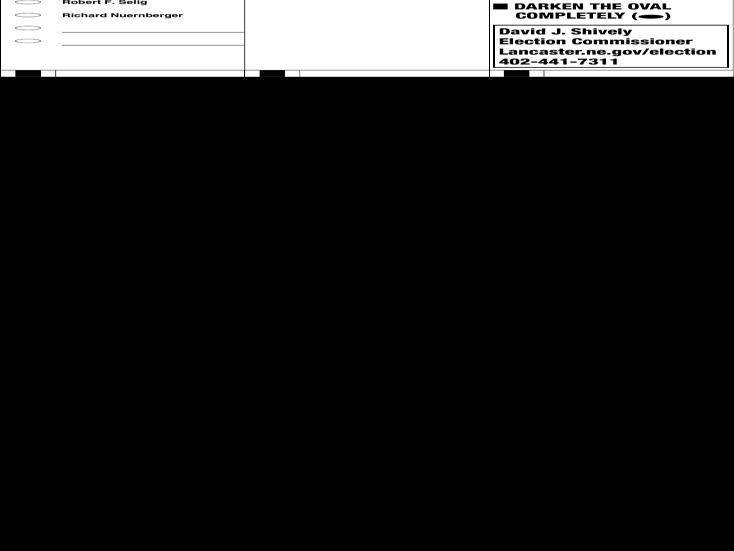 2017 primary election sample ballot Voter's Guide