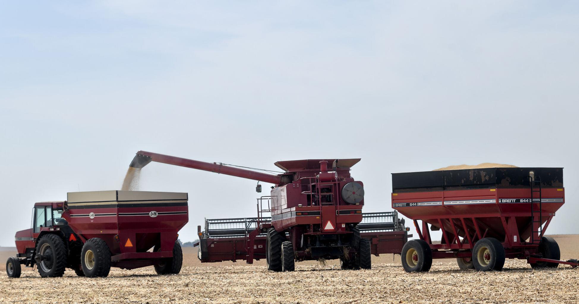 Report: Nebraska farm income expected to decline this year - Vimarsana News