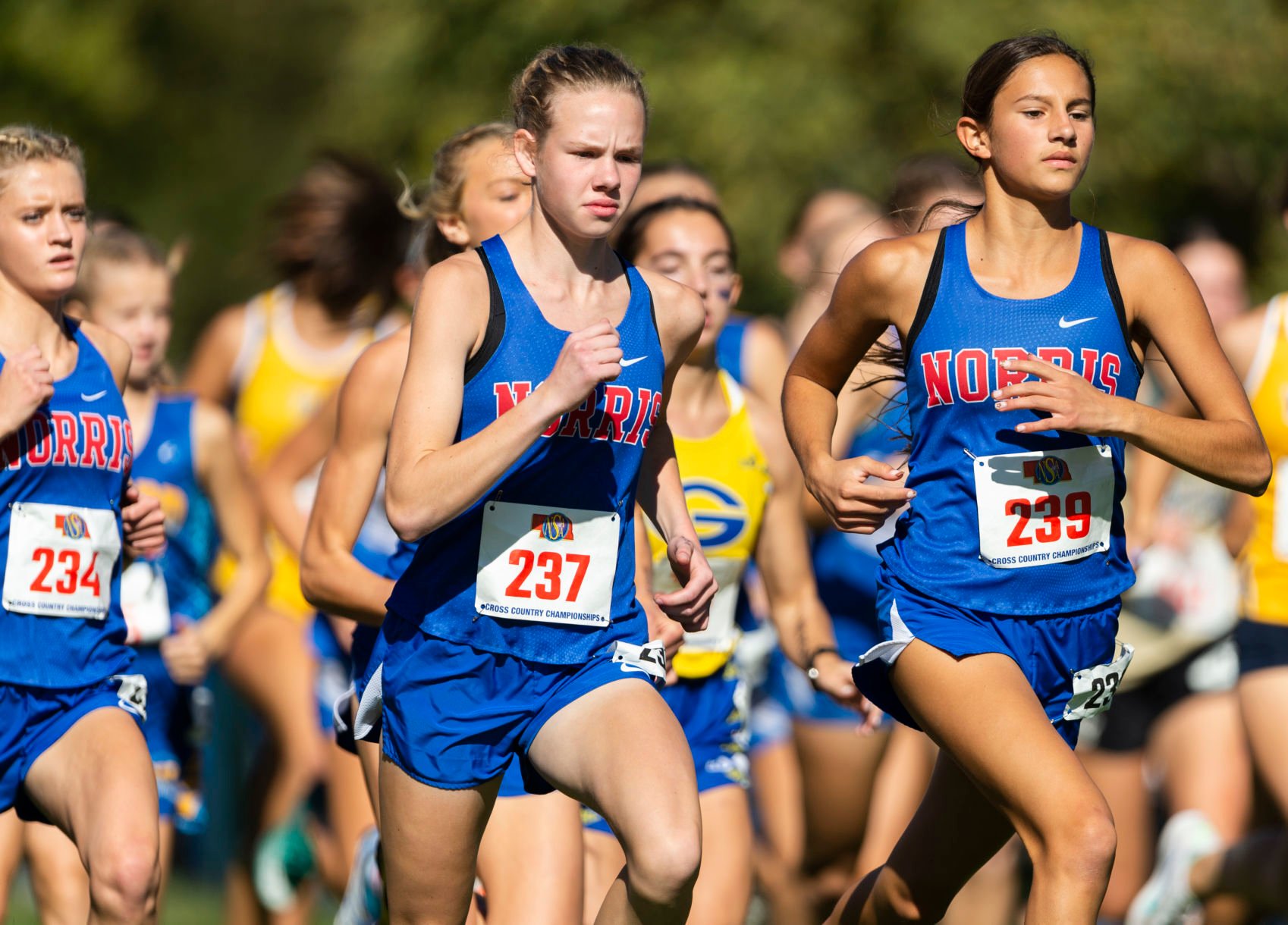 Here's A Look At Friday's State Cross Country Results