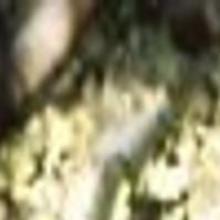 Role Models Movies Journalstar Com The 25 best shows of the decade. role models movies journalstar com