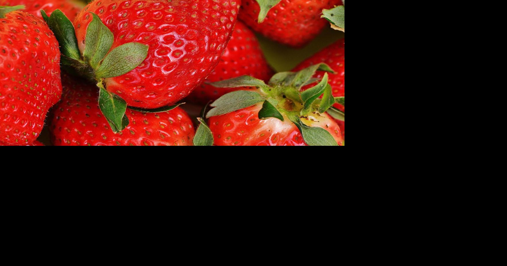 Strawberry Winter Protection: Straw Mulch vs. Row Covers