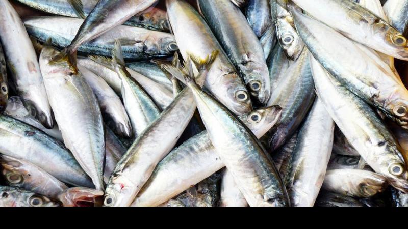 What are the best foods for brain health? | Health and ...