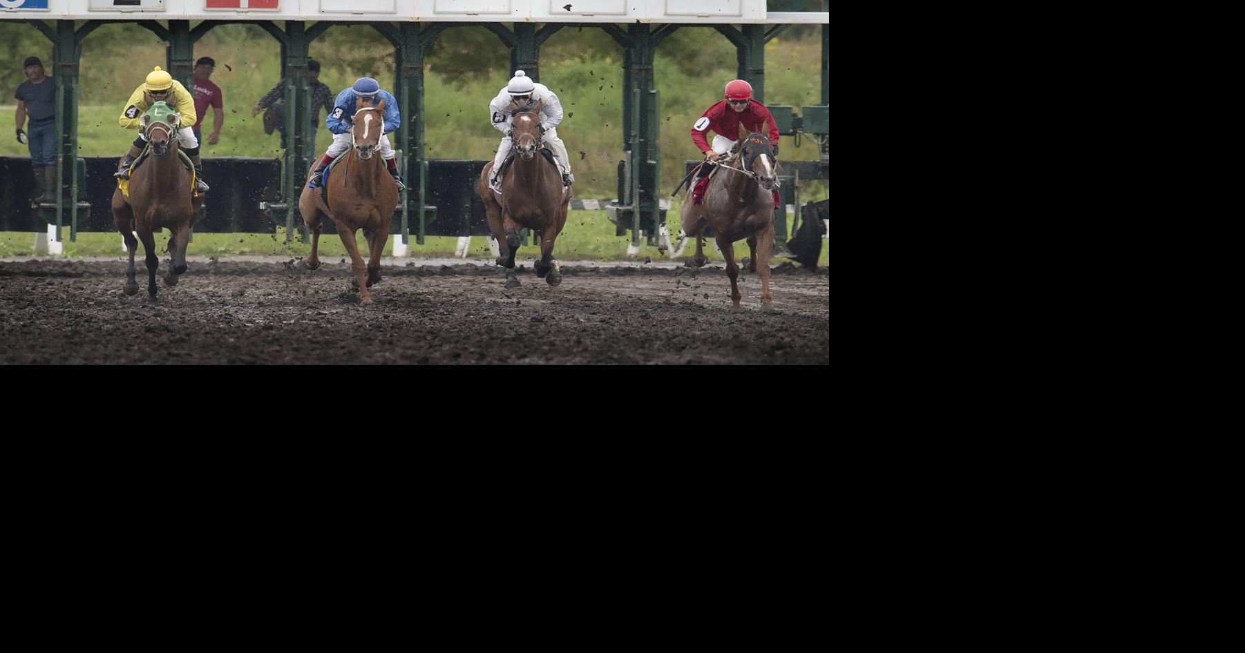 Straightaway produces dead heat as Lincoln Race Course looks to future