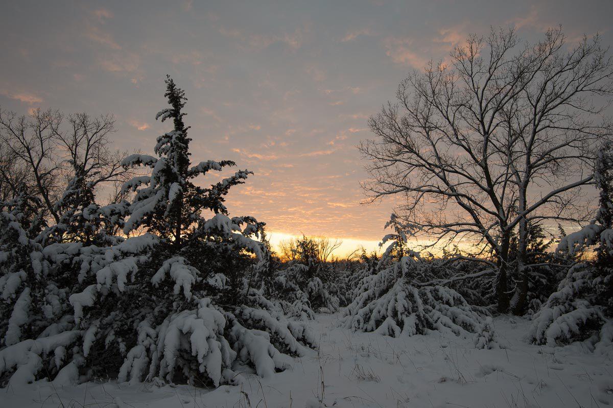 Winter is here Beautiful scenes of the season in Nebraska