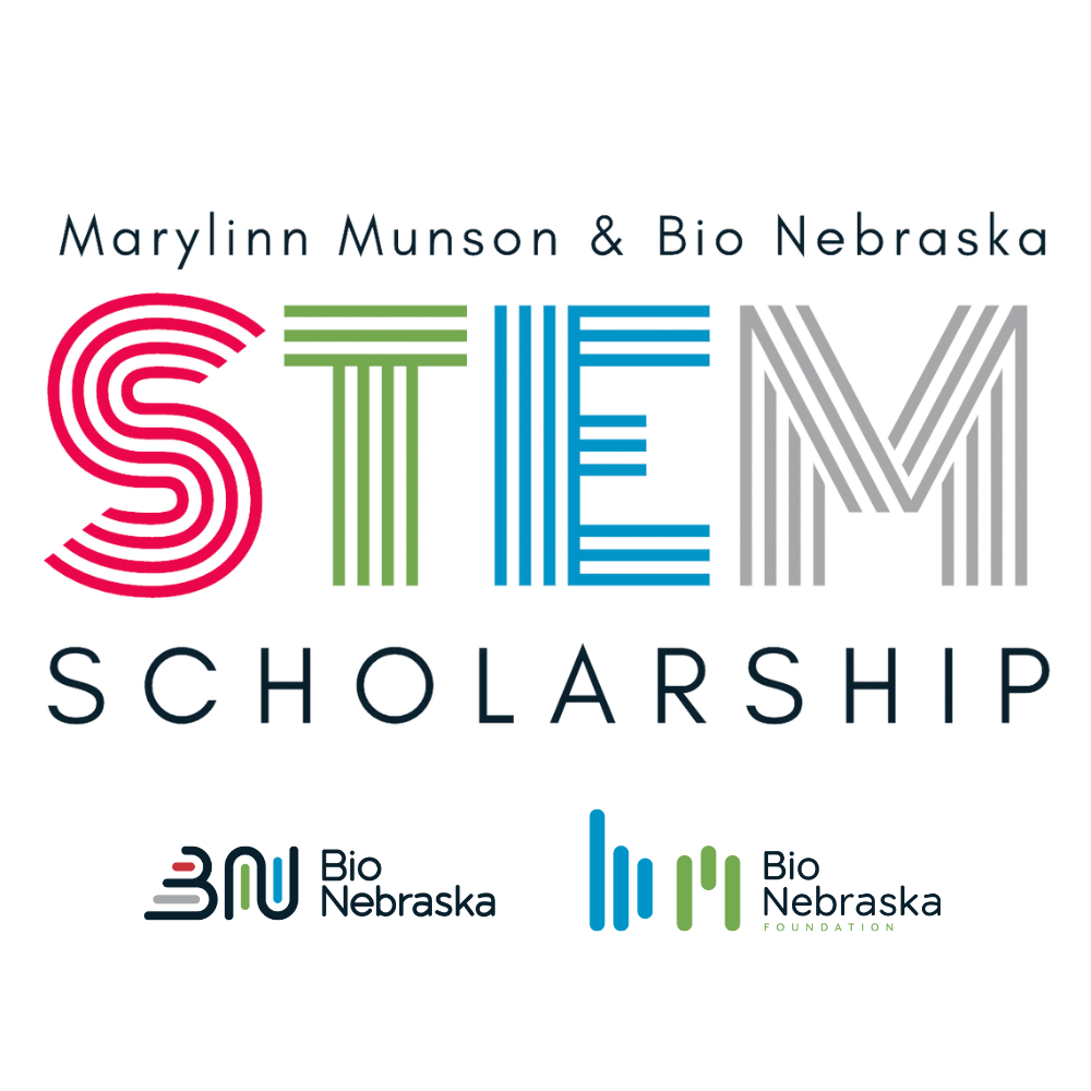 STEM Scholarship art
