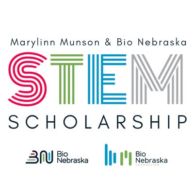 STEM Scholarship art