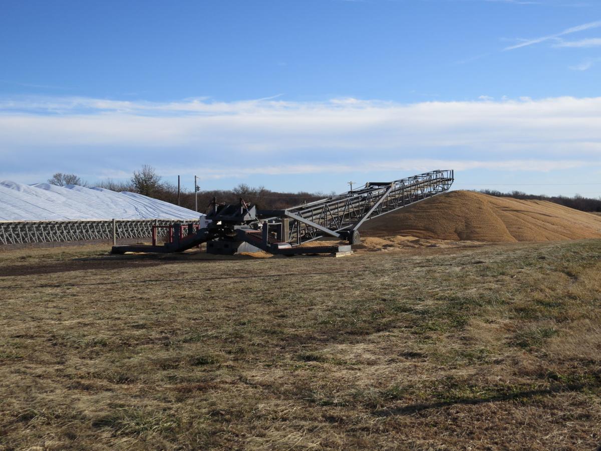 Corn pile