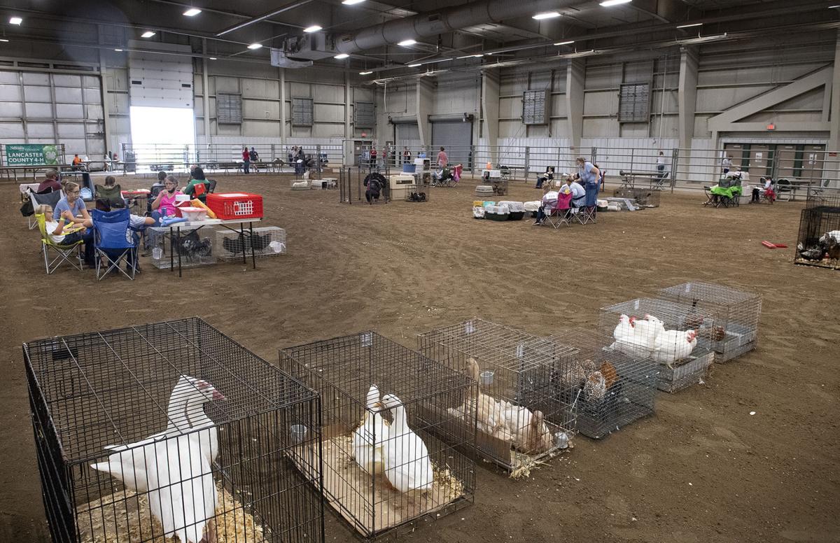 Lancaster County Super Fair is 'definitely different, but it's still fun'