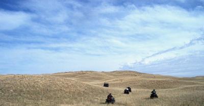Sandhills