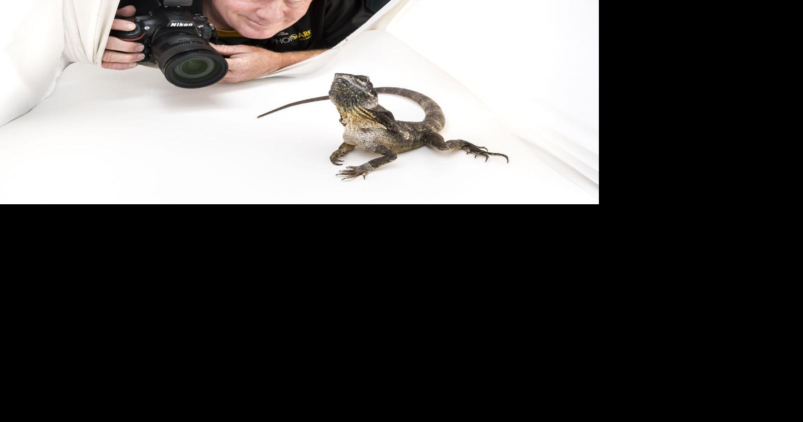 18,000 species: Inside Joel Sartore’s mission to give every animal an equal voice