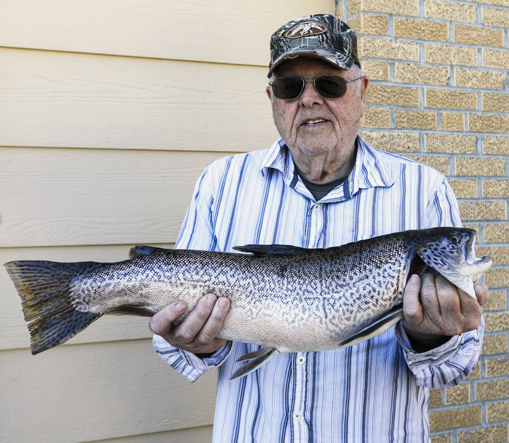 34 degrees in Florida this morning, the trout were out in droves