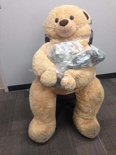 Vacuum Sealing Giant Teddy 