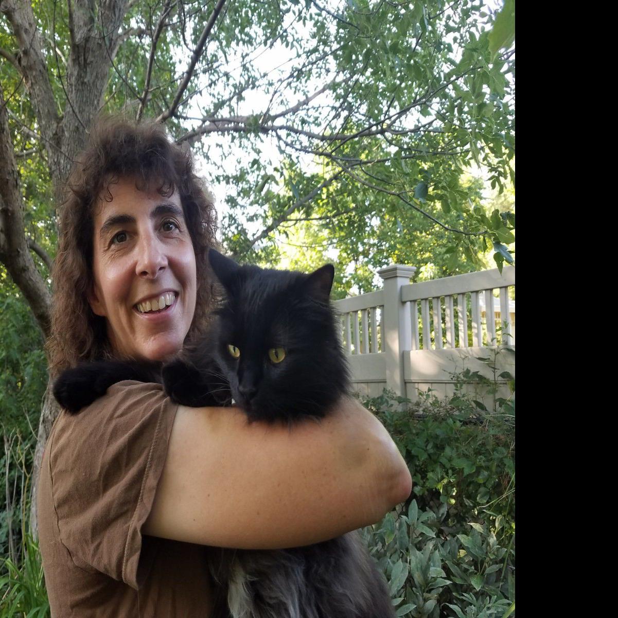 Nonprofit Traps Spays Neuters And Releases Feral Cats To Reduce