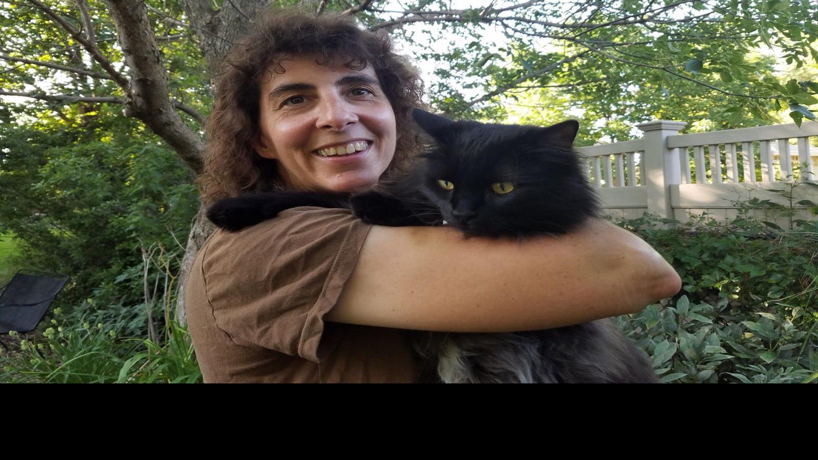 Nonprofit Traps Spays Neuters And Releases Feral Cats To Reduce