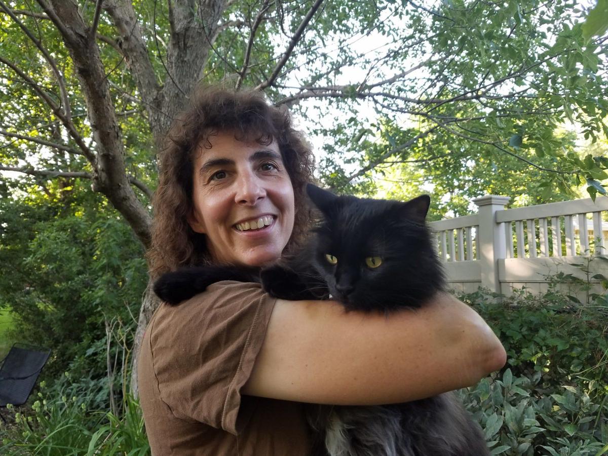Nonprofit Traps Spays Neuters And Releases Feral Cats To Reduce
