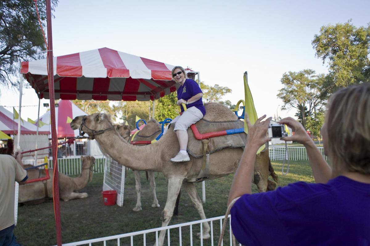 Camel rides