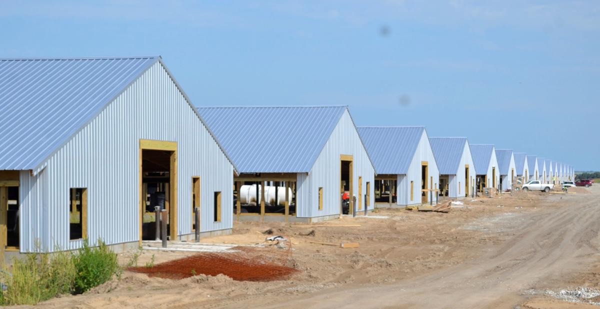 Poultry barns
