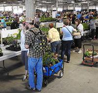 Spring Affair Garden Event & Plant Sale
