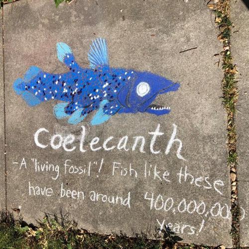 Sidewalk chalk art