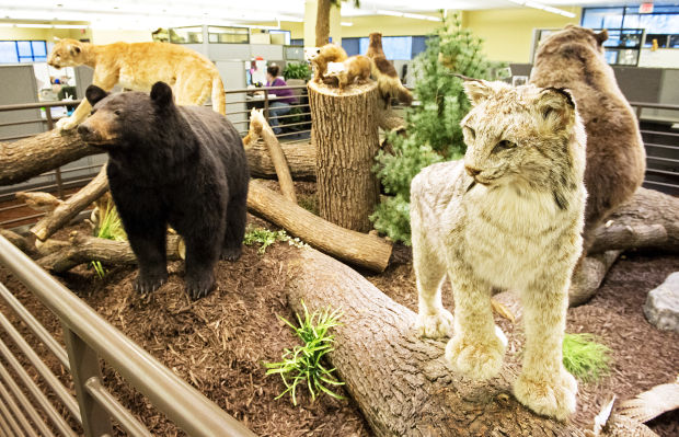 Cabela's (copy)