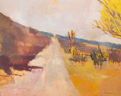 Between Abstraction And Landscape Stephen Dinsmore S