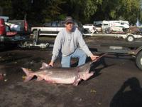 Paddlefish