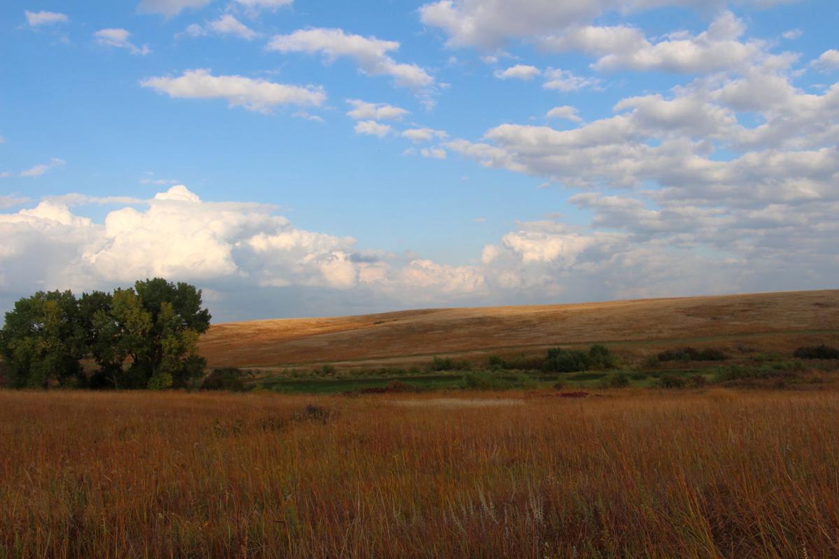 Audobon Spring Creek Prairie