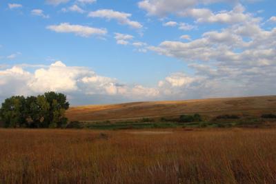 Audobon Spring Creek Prairie