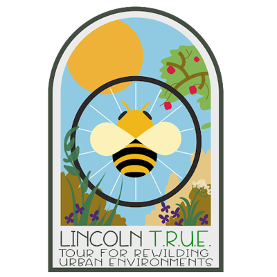 Lincoln True logo