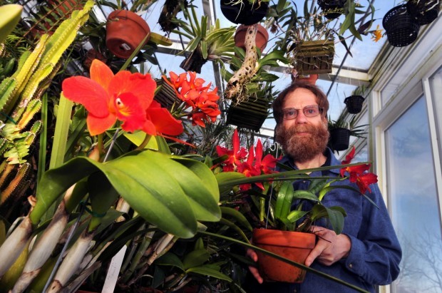 Greenhouse