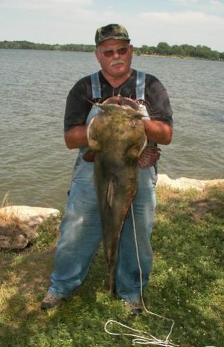 Catfish in the summer