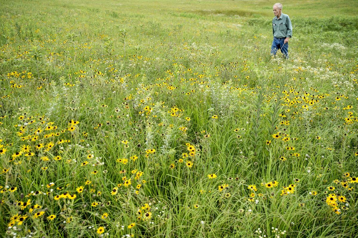 Wachiska Audubon Launches Campaign To Preserve Prairie Nebraska