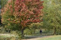 Top Journal Star photos for October