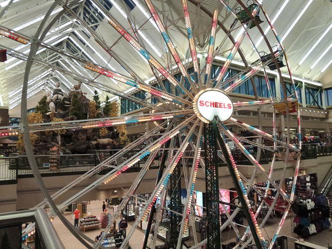 Scheels