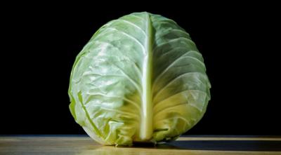 Cabbage
