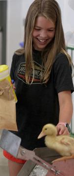 090621 NSF ANIMALS .jpg