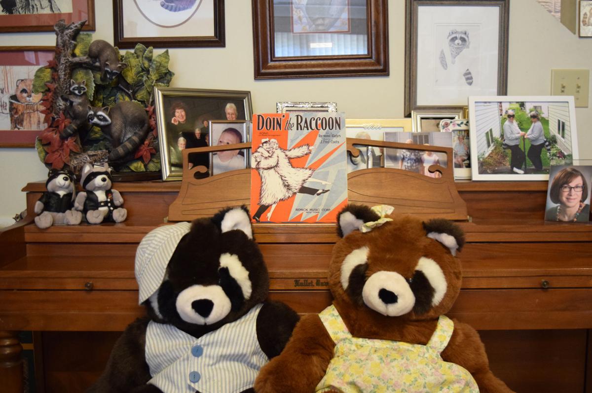 Raccoons